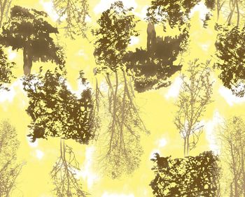 树林印花华亿平台图片