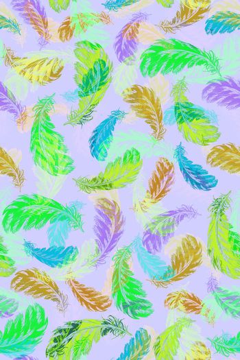 598591-时尚羽毛男女服装