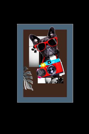 男女装T恤印花华亿平台图片