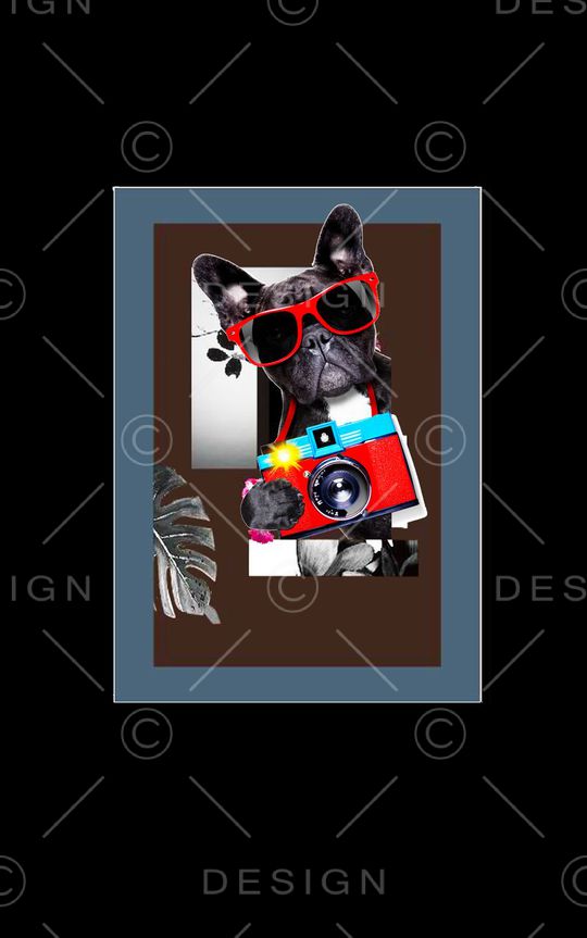 男女装T恤印花华亿平台图片