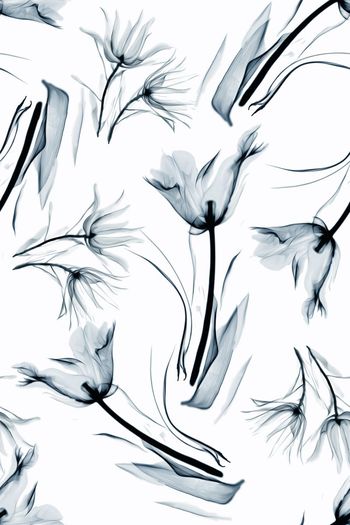 598723-中国风韵墨水彩花卉