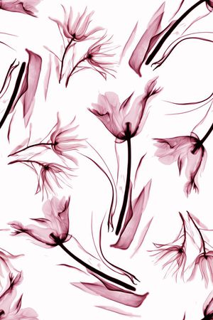 韵墨印花华亿平台图片