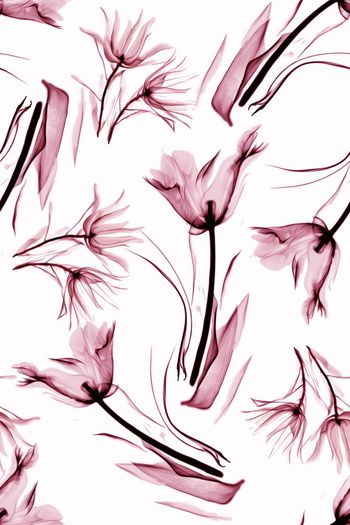 598725-中国风韵墨水彩花卉