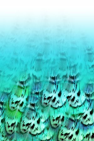 渐变印花华亿平台图片