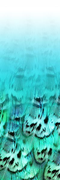 渐变印花华亿平台图片