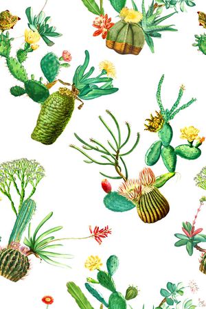 热带印花华亿平台图片