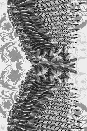 鸟印花华亿平台图片