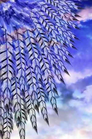 鸟印花华亿平台图片