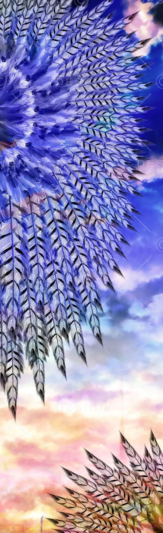 鸟印花华亿平台图片