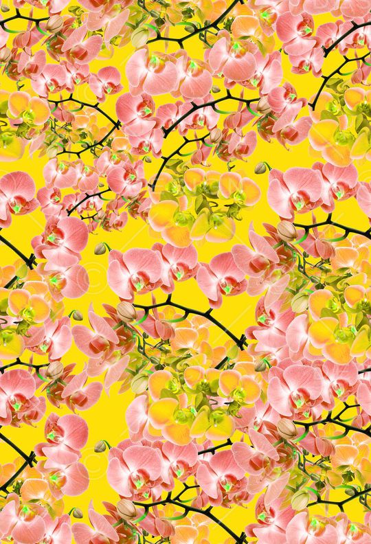 樱花印花华亿平台图片