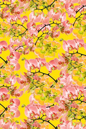 樱花印花华亿平台图片