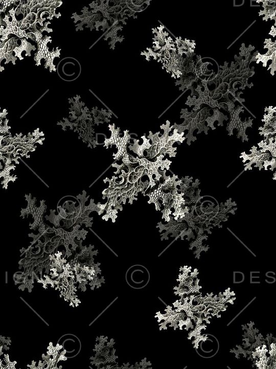 抽象男装印花华亿平台图片