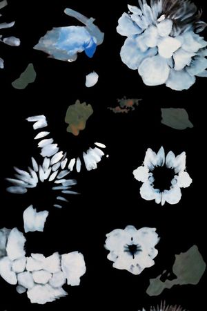 淡雅荷花印花华亿平台图片