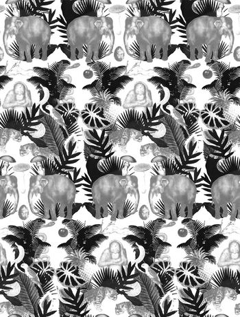 599451-热带大象猴子1