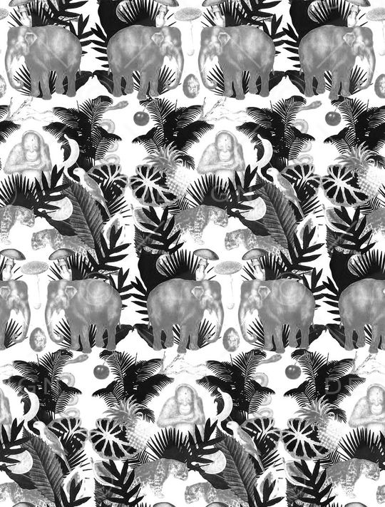 热带印花华亿平台图片