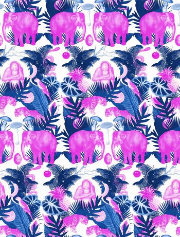 599452-热带大象猴子1