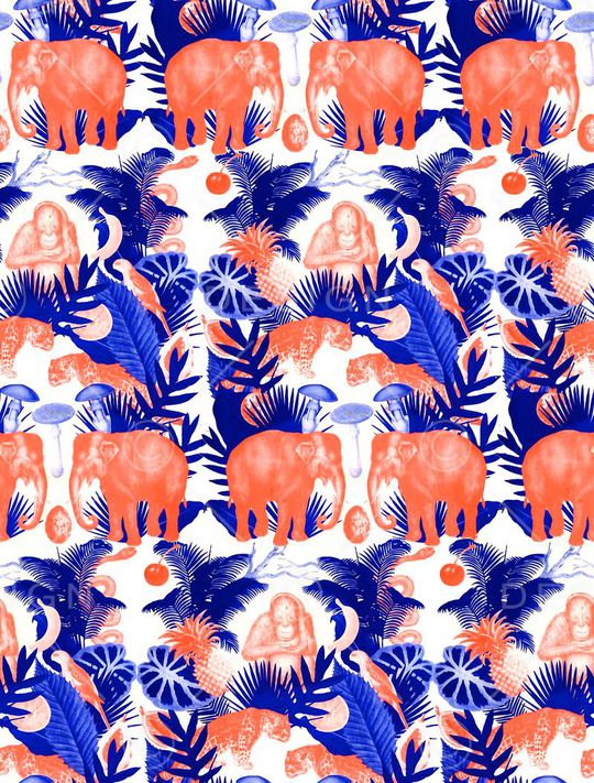 热带印花华亿平台图片