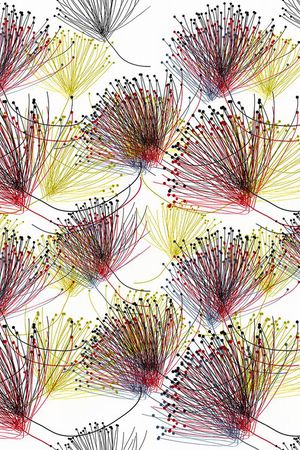 蒲公英印花华亿平台图片