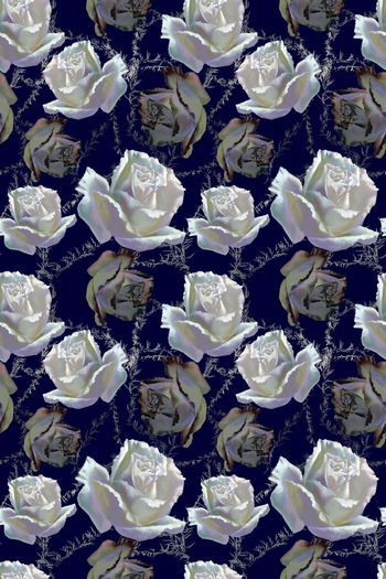 599527-cp原创手绘白玫瑰