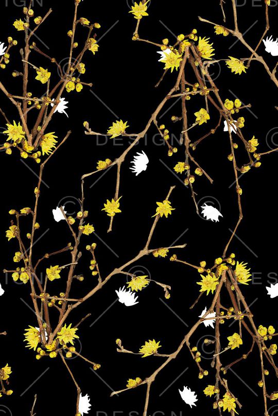 女装裙子印花华亿平台图片