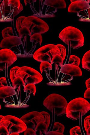 时尚印花华亿平台图片