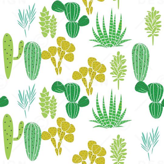 仙人掌印花华亿平台图片