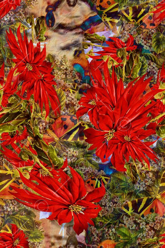 趣味印花华亿平台图片