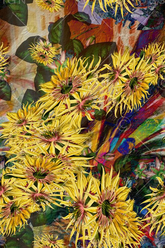 风景印花华亿平台图片