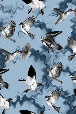 ♥红桃A〖花鸟天堂〗印花华亿平台图片