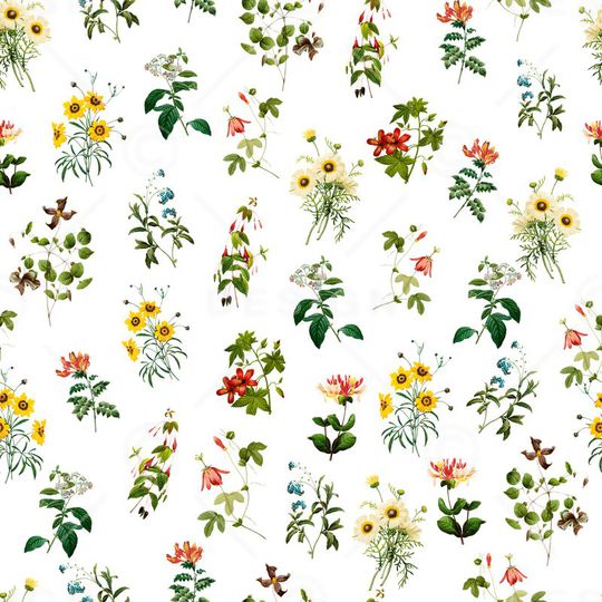 热带印花华亿平台图片