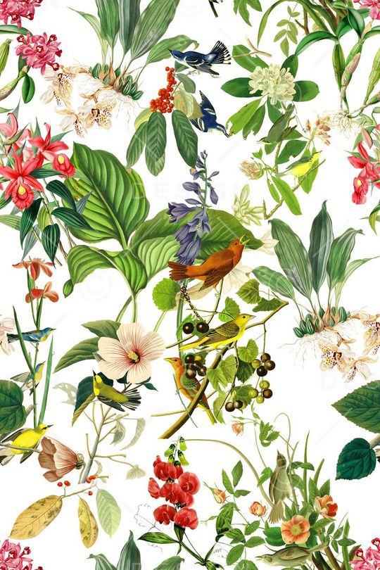 热带植物花鸟印花华亿平台图片