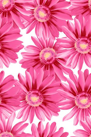 大朵印花华亿平台图片