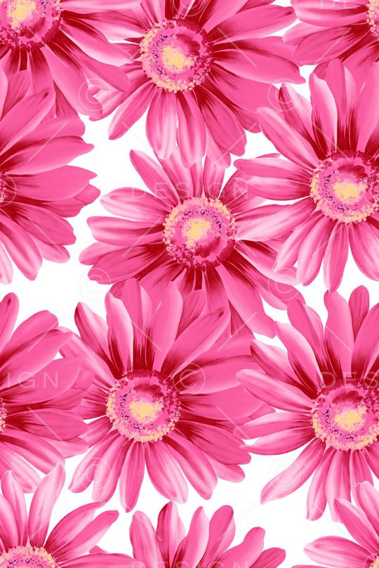 大朵印花华亿平台图片