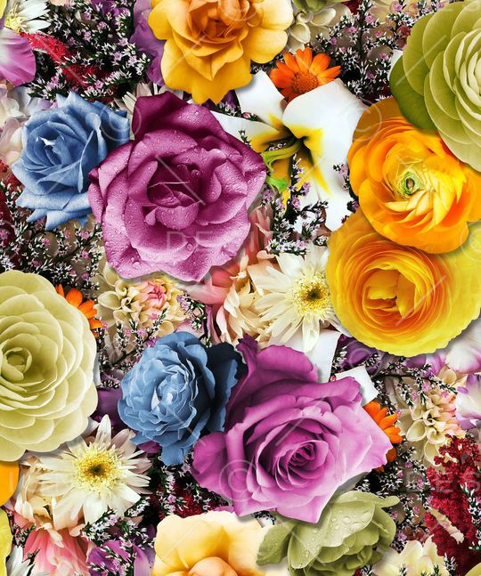 花卉印花华亿平台图片