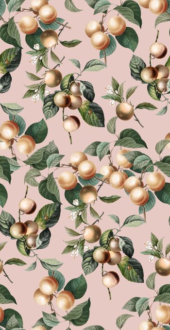 600069-女装复古手绘水果3