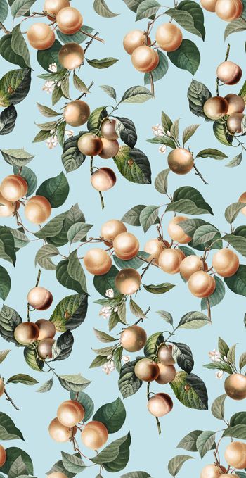 600070-女装复古手绘水果3