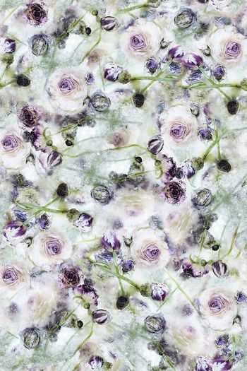 600082-艺术手绘淡雅花卉