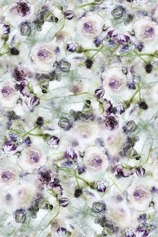 女装印花华亿平台图片