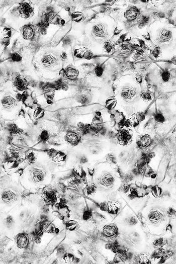 600086-艺术手绘淡雅花卉