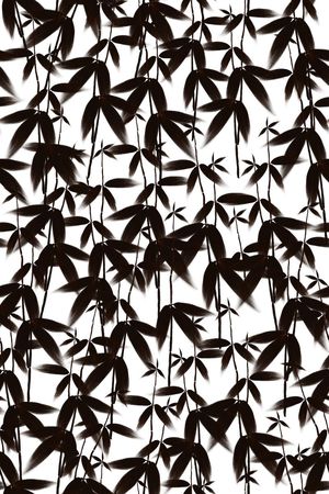 男女装面料印花华亿平台图片