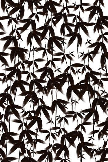 600209-手绘复古竹叶植物风男女同款面料-墨