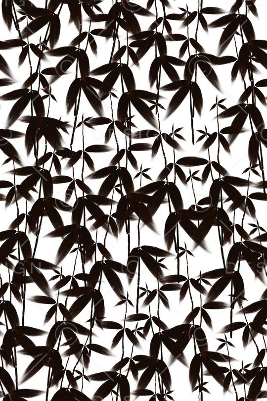 男女装面料印花华亿平台图片