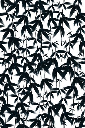 男女装面料印花华亿平台图片