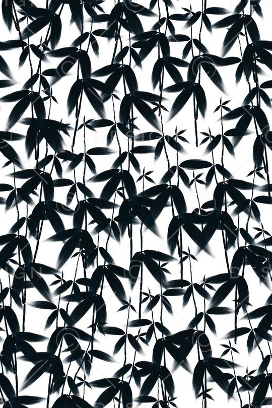 男女装面料印花华亿平台图片