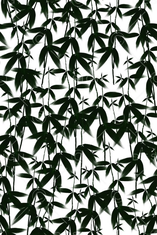 男女装面料印花华亿平台图片