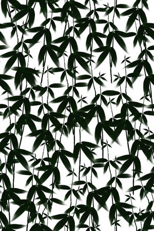 男女装面料印花华亿平台图片