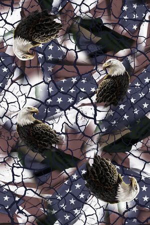 老鹰印花华亿平台图片