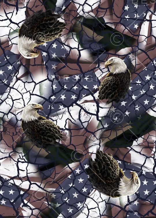 老鹰印花华亿平台图片