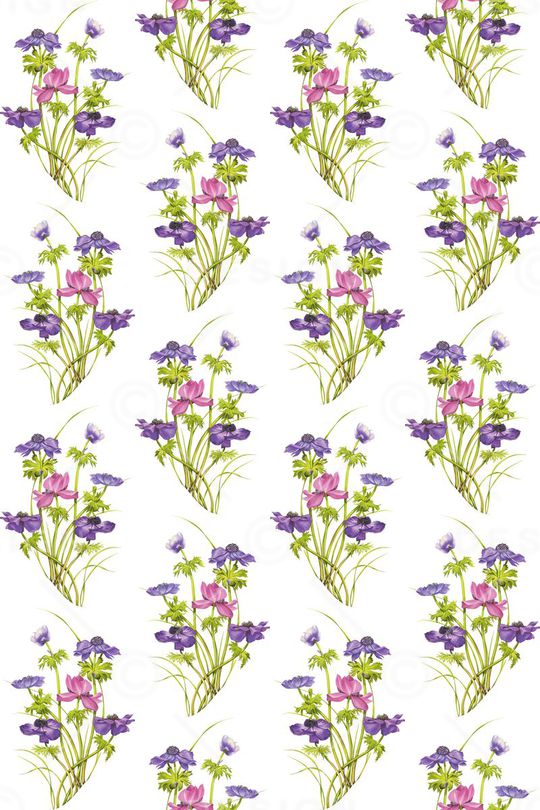 莲花印花华亿平台图片