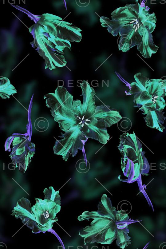 郁金香印花华亿平台图片